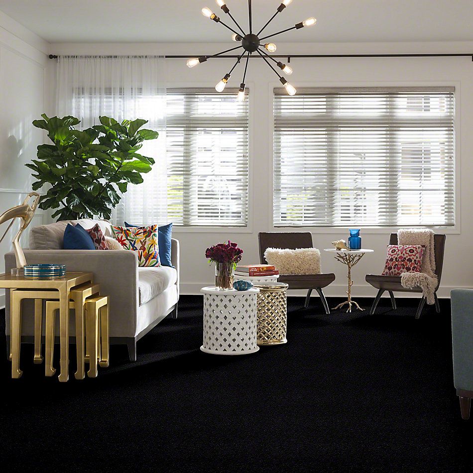 Shaw Floors Value Collections Xvn07 (s) Hidden Falls 00301_E1240