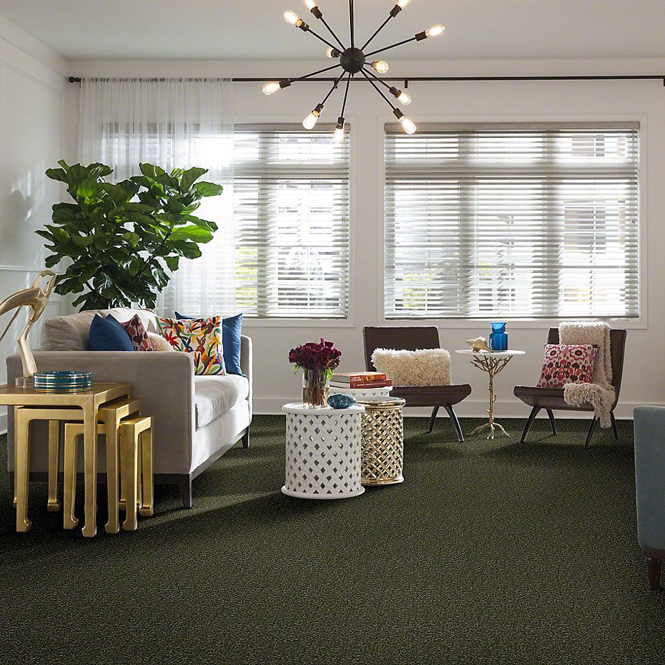 Shaw Floors Town Creek I 12 Sage Leaf 52S28_00302