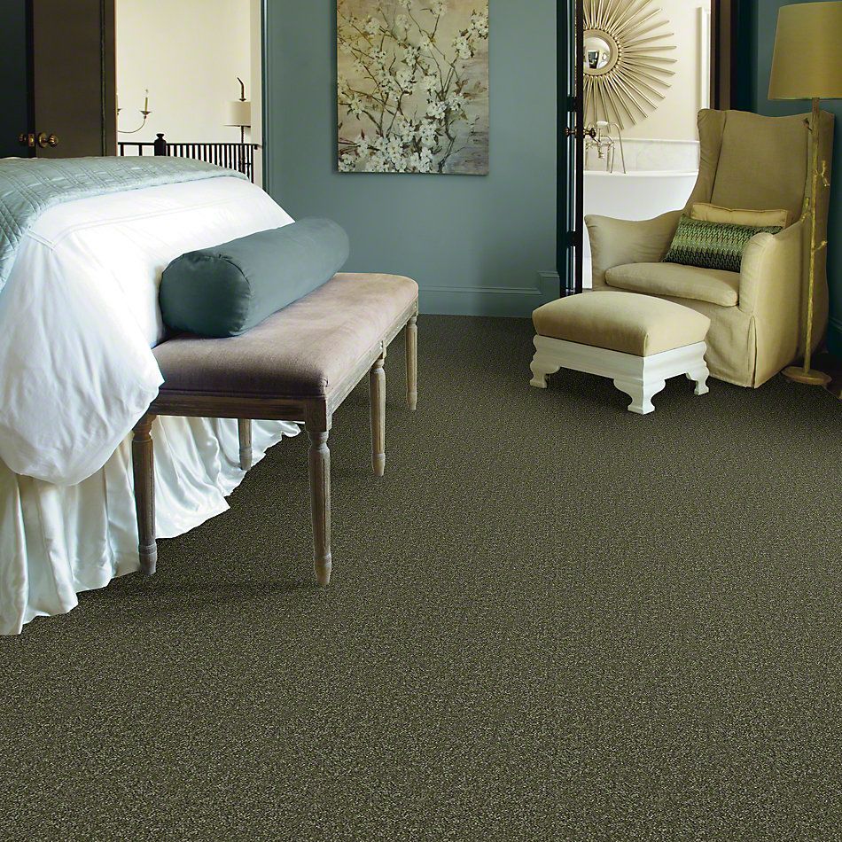 Shaw Floors Town Creek II Sage Leaf 52S30_00302