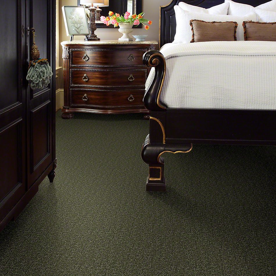 Shaw Floors Town Creek II Sage Leaf 52S30_00302