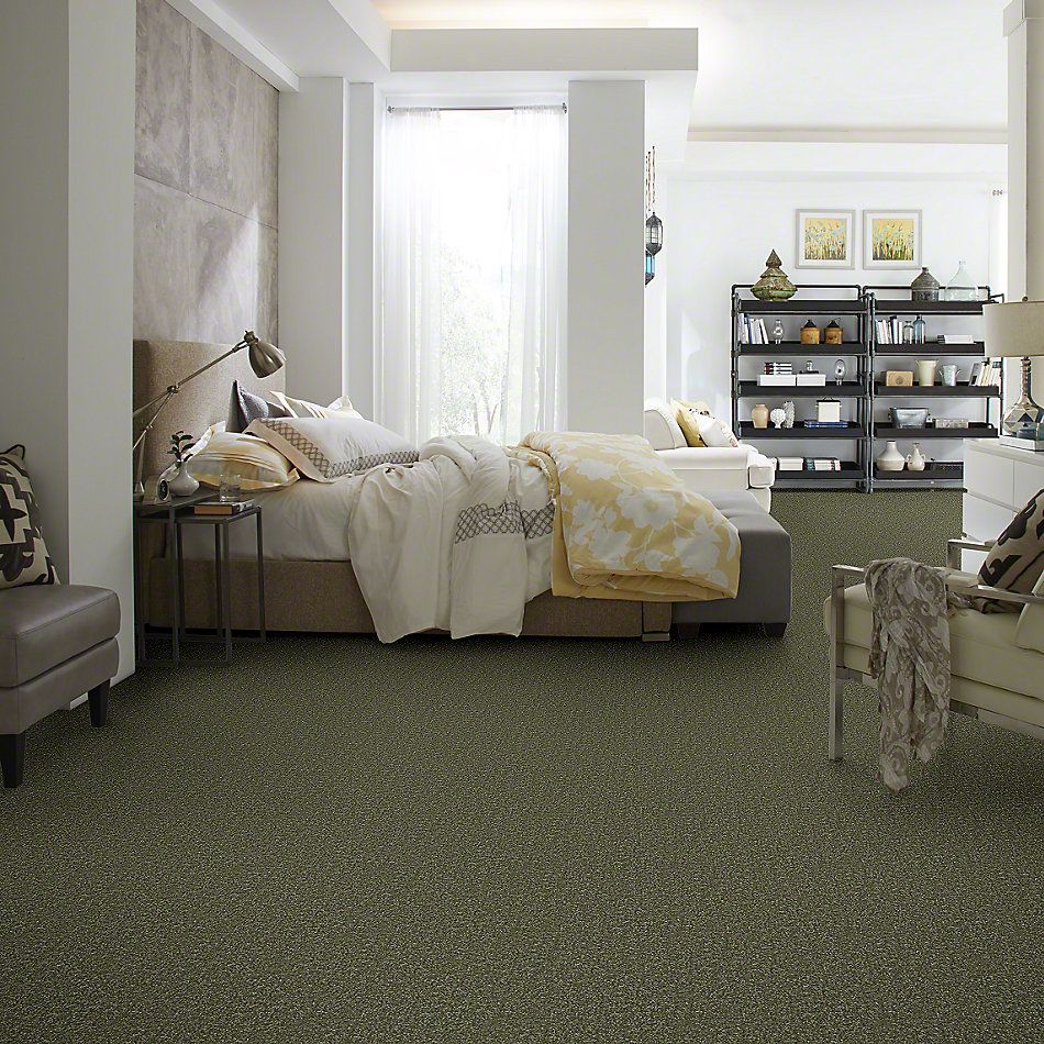 Shaw Floors Town Creek II Sage Leaf 52S30_00302