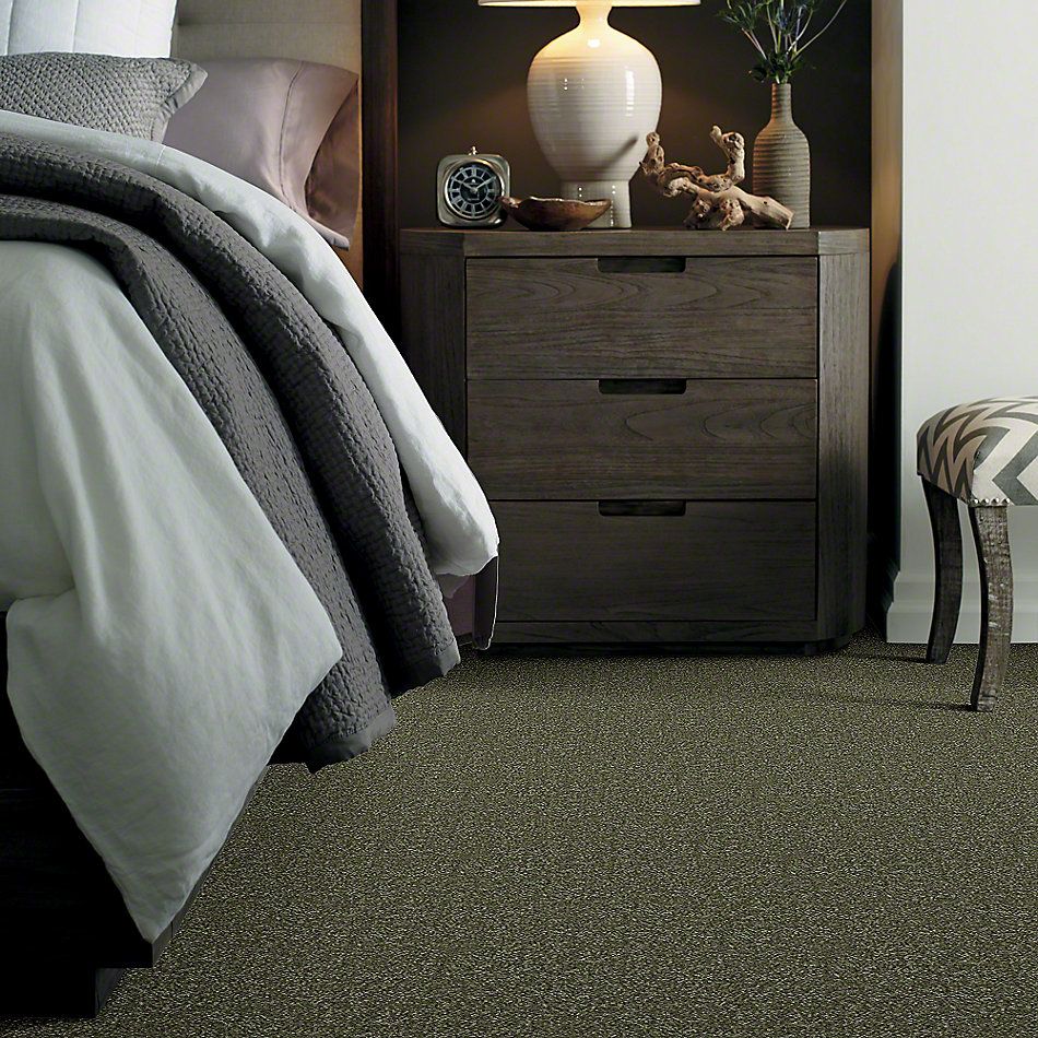 Shaw Floors Town Creek II Sage Leaf 52S30_00302