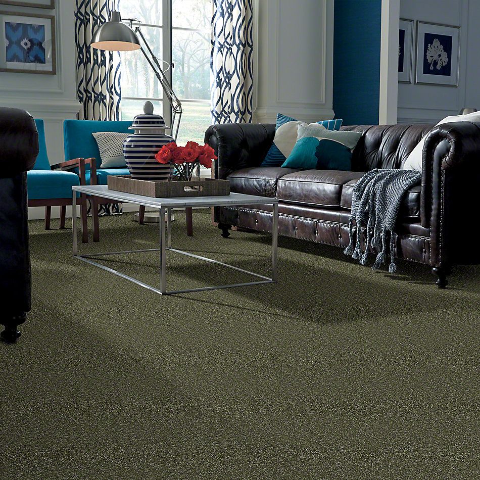 Shaw Floors Town Creek II Sage Leaf 52S30_00302