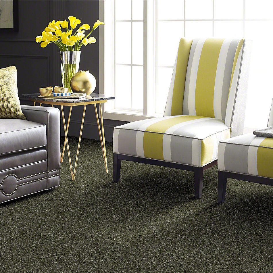 Shaw Floors Town Creek II Sage Leaf 52S30_00302