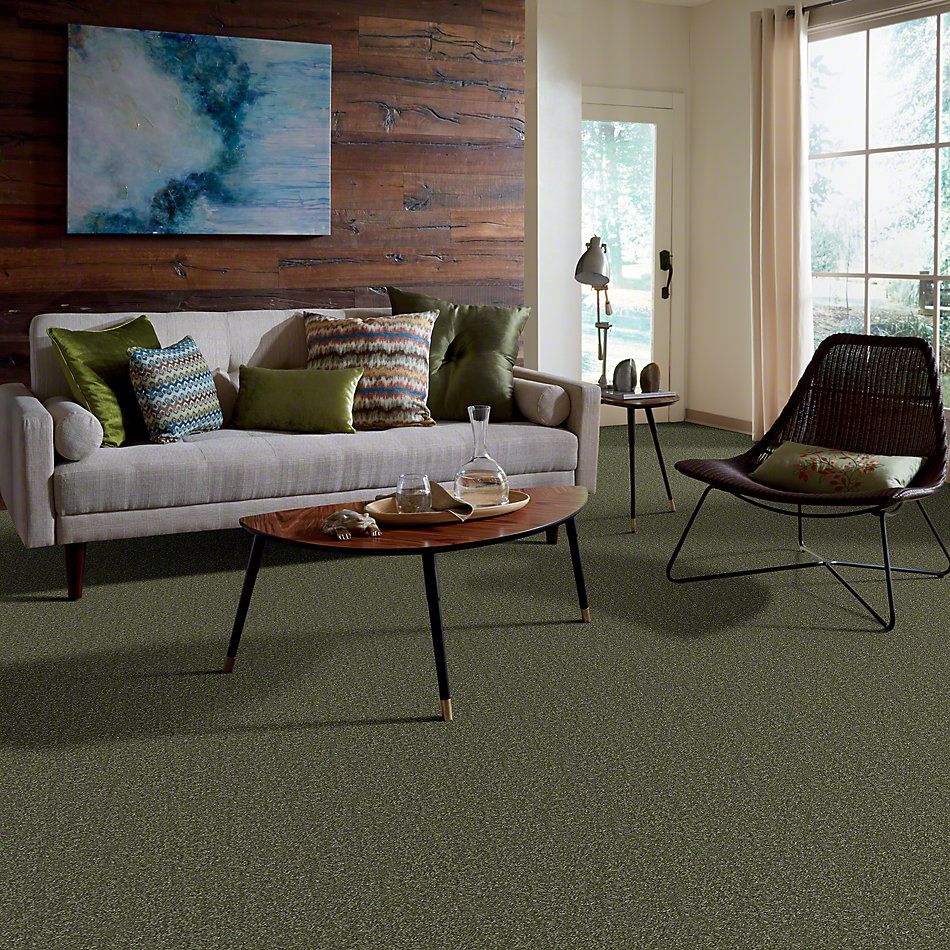Shaw Floors Town Creek II Sage Leaf 52S30_00302