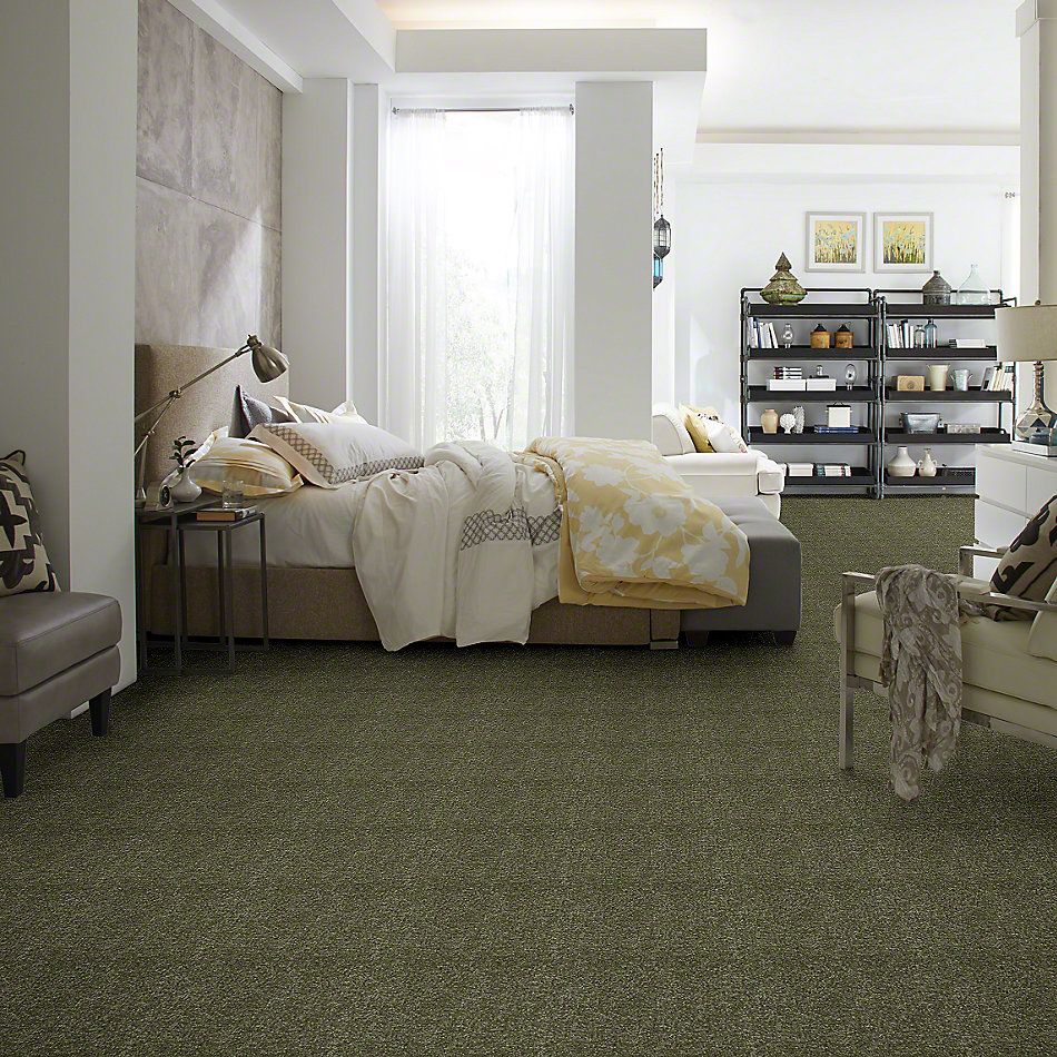 Shaw Floors Town Creek I 15′ Sage Leaf 52V12_00302