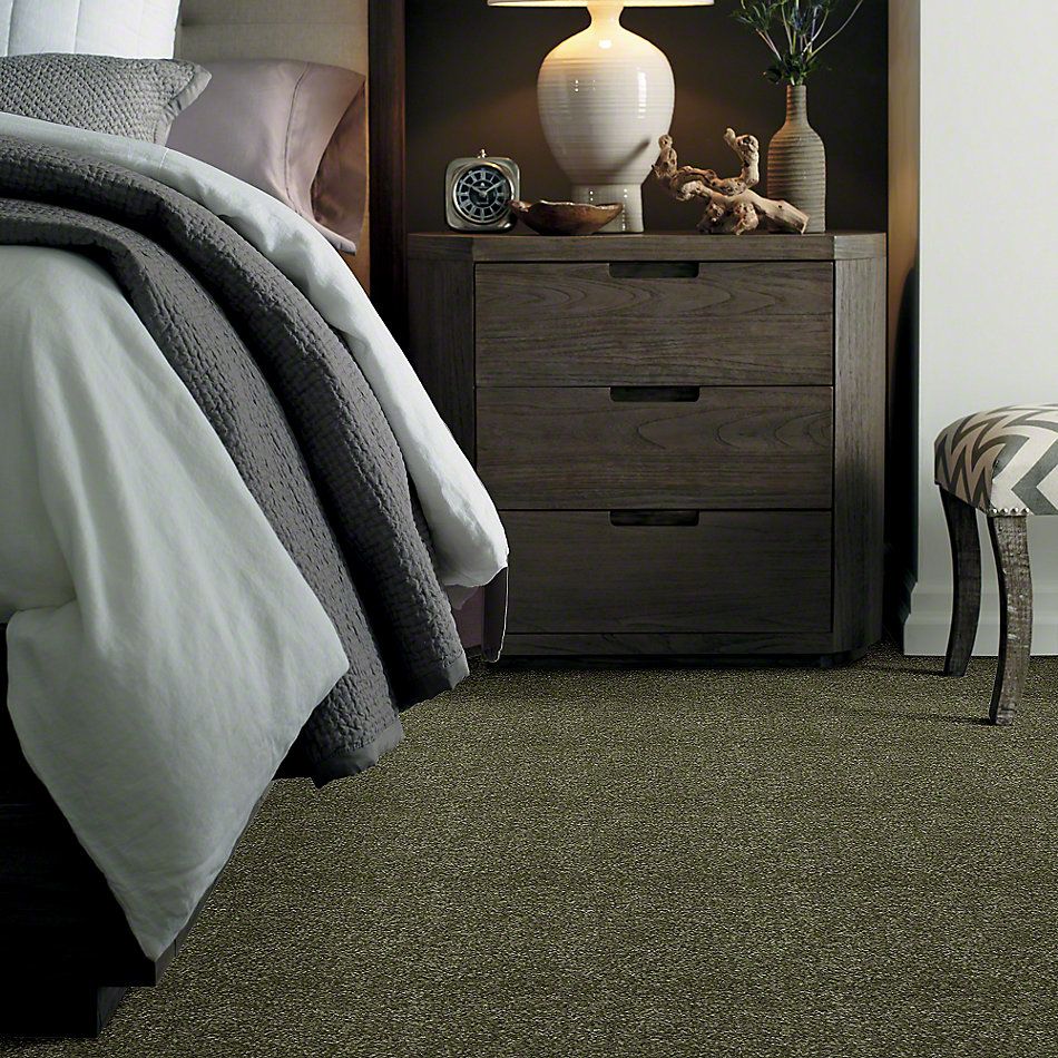 Shaw Floors Town Creek I 15′ Sage Leaf 52V12_00302