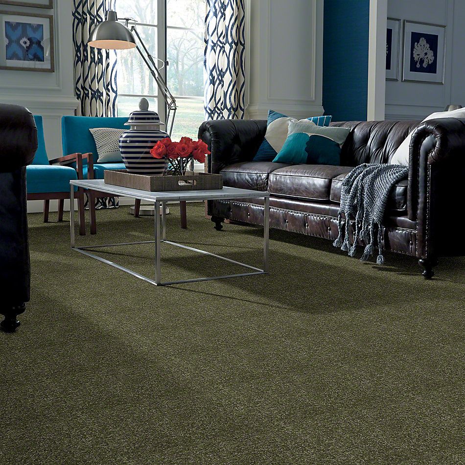Shaw Floors Town Creek I 15′ Sage Leaf 52V12_00302