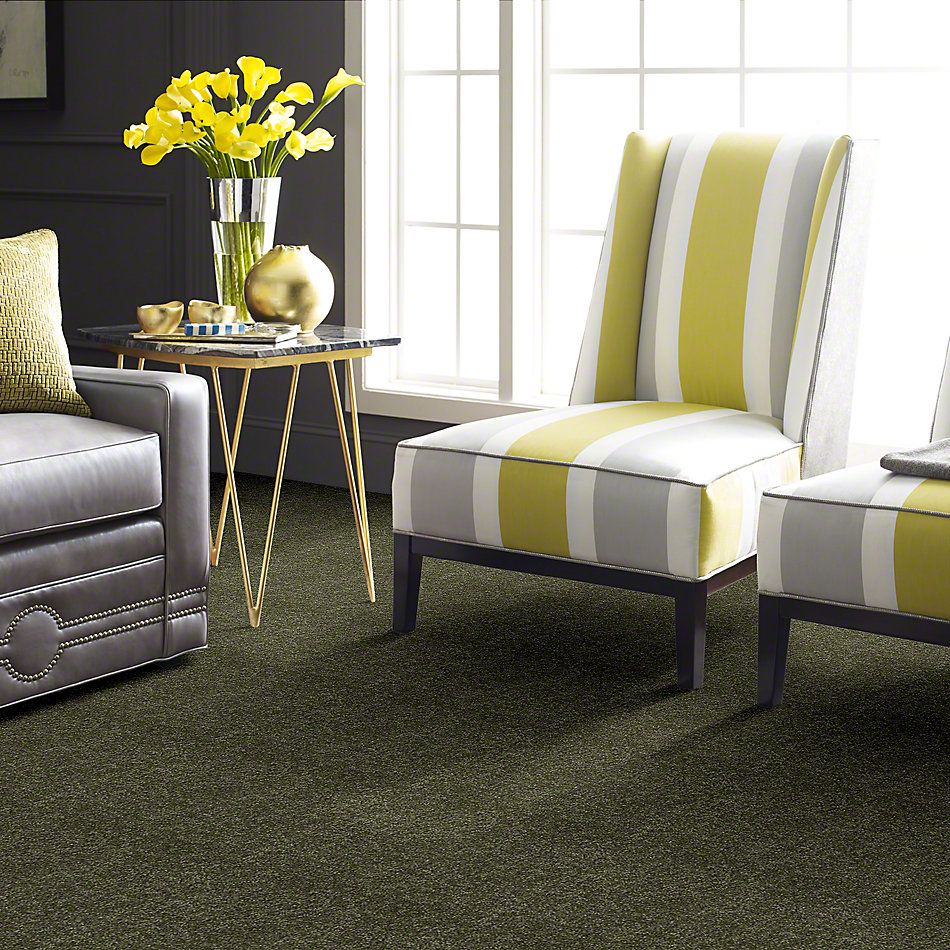 Shaw Floors Town Creek I 15′ Sage Leaf 52V12_00302