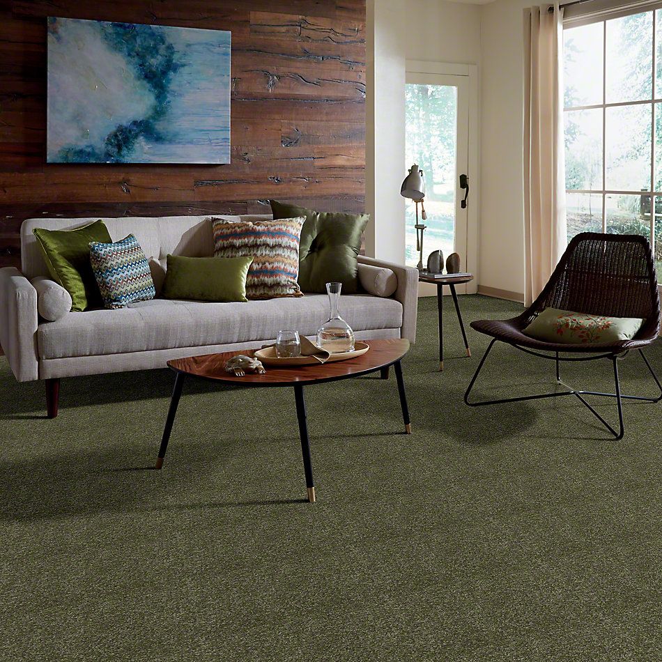 Shaw Floors Town Creek I 15′ Sage Leaf 52V12_00302