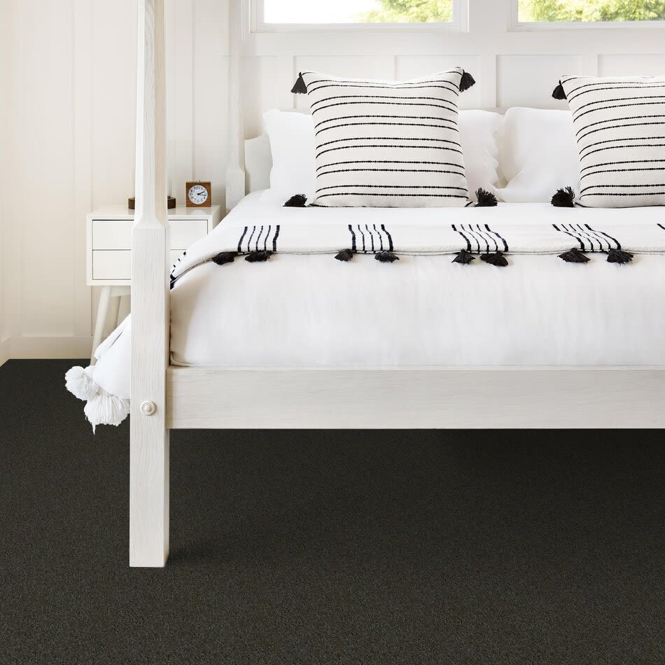 Shaw Floors Carpet Land Blanche 12 Aspen 00302_755X5
