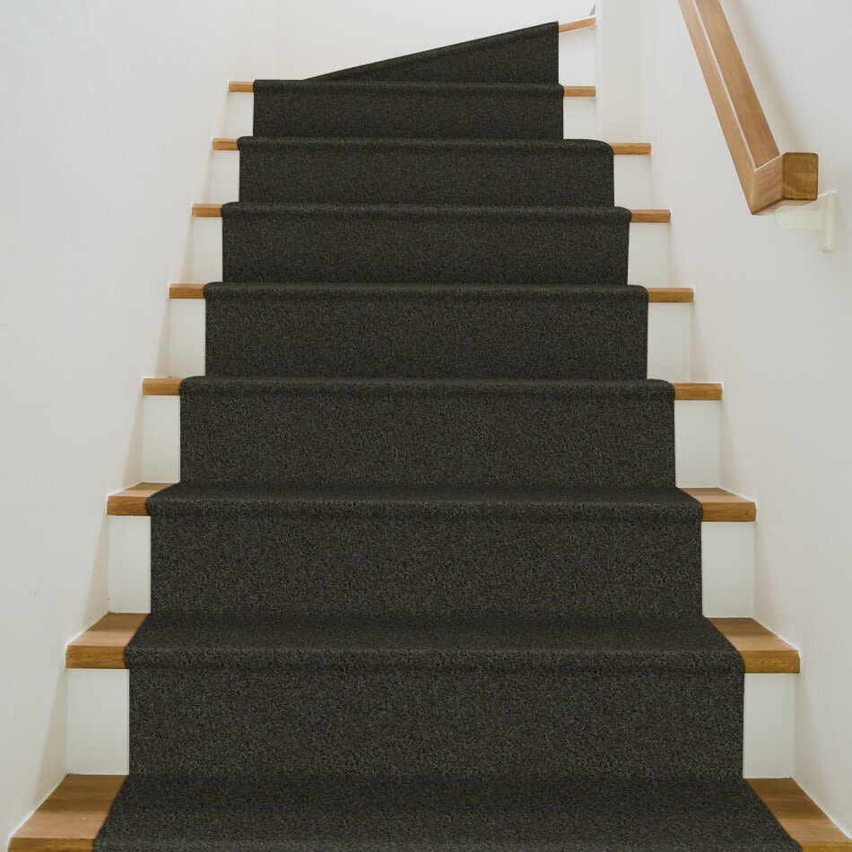 Shaw Floors Century Homes Elliots Mannor II Aspen 00302_C084H