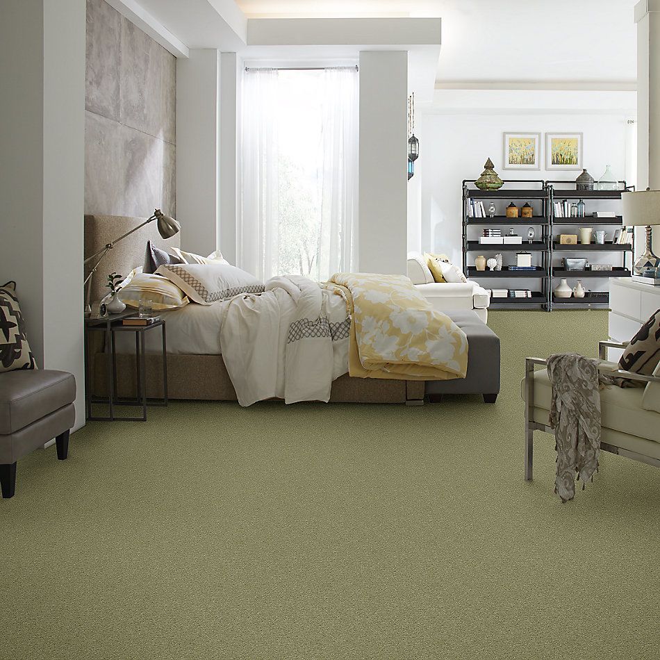 Shaw Floors Caress By Shaw Quiet Comfort Iv Rolling Hills 00302_CCB33