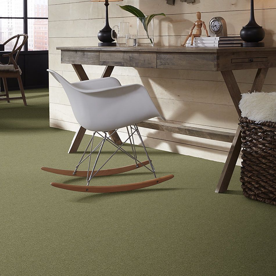 Shaw Floors Caress By Shaw Cashmere Iv Rolling Hills 00302_CCS04