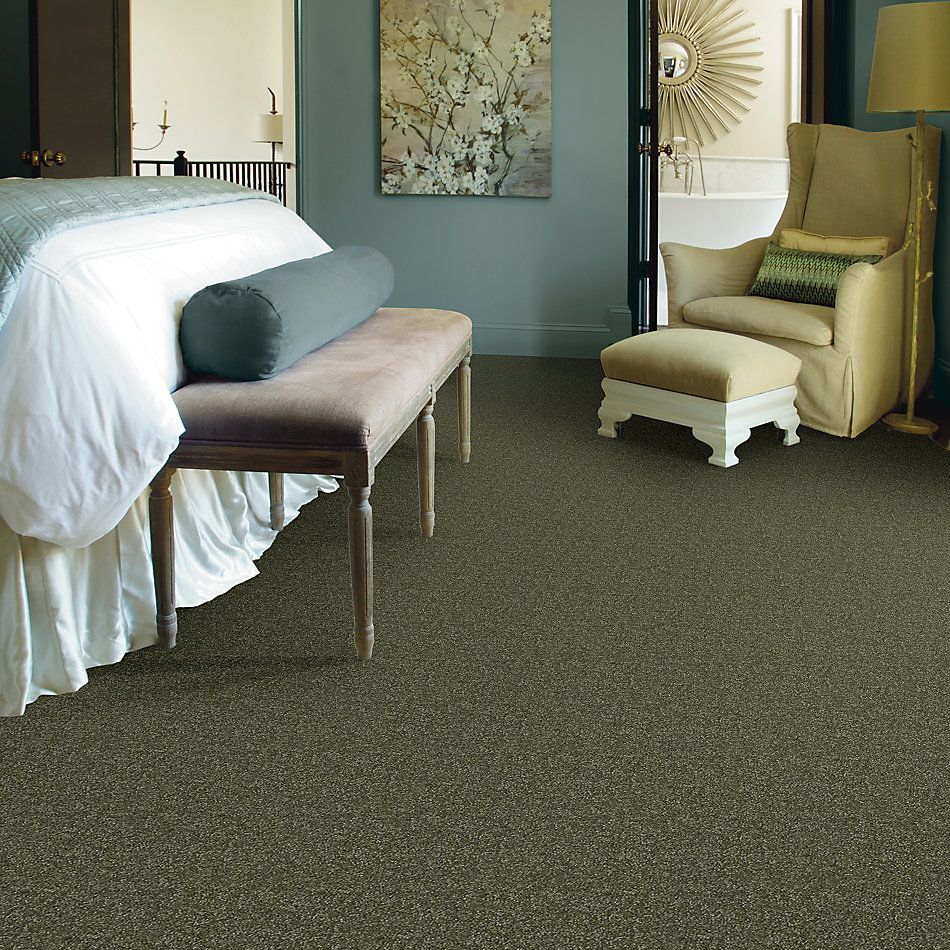 Shaw Floors Value Collections Passageway 2 12 Sage Leaf 00302_E9153