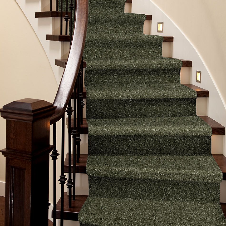 Shaw Floors Value Collections Passageway 3 12 Net Sage Leaf 00302_E9154