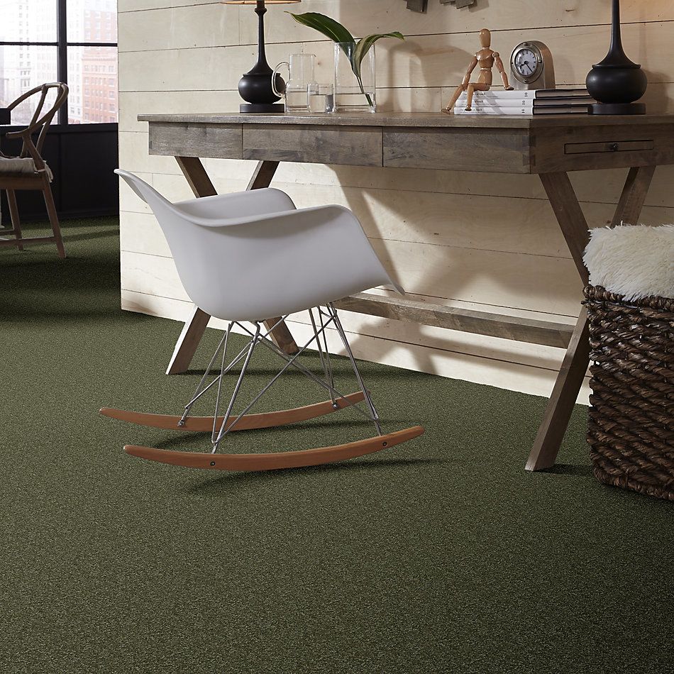 Shaw Floors Value Collections Passageway 3 Net Sage Leaf 00302_E9377