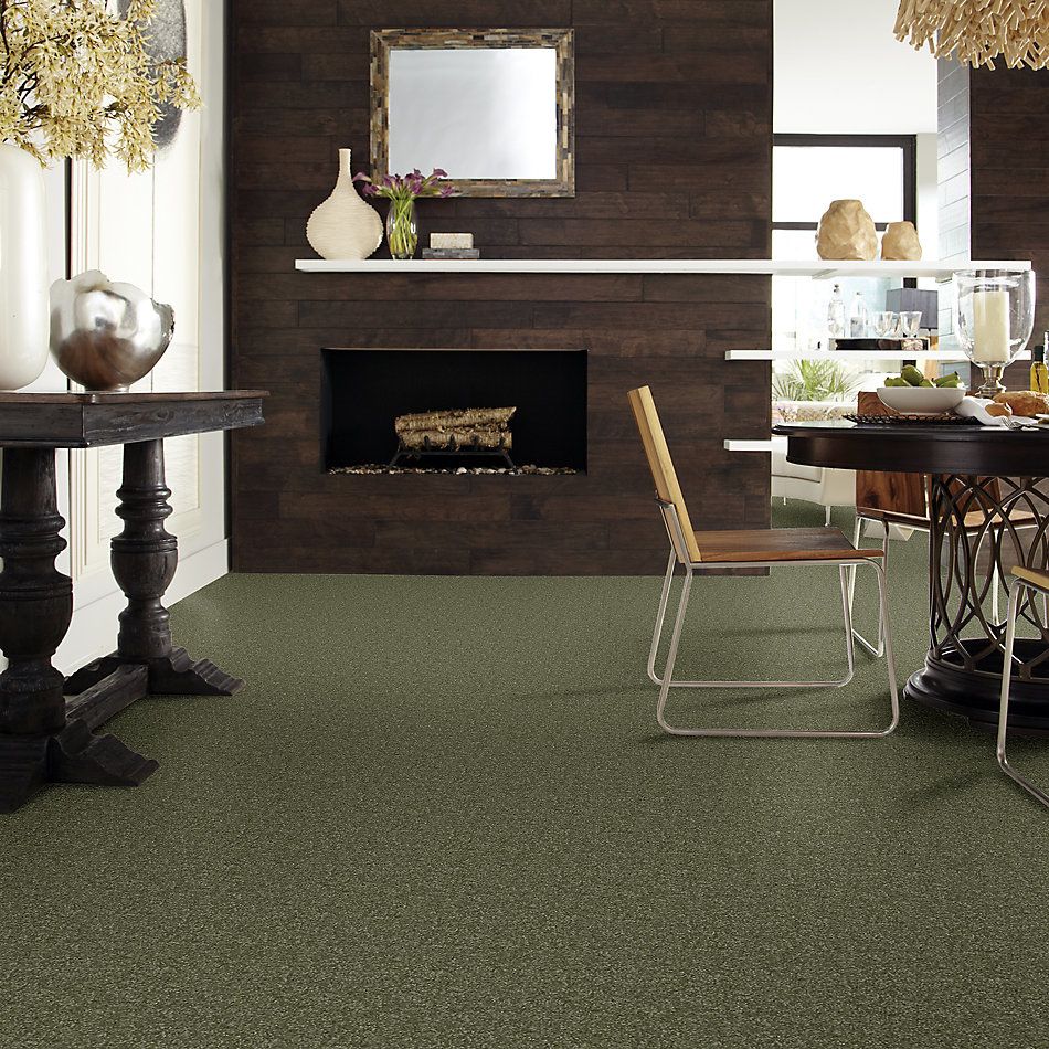 Shaw Floors Value Collections Passageway I 15 Net Sage Leaf 00302_E9620