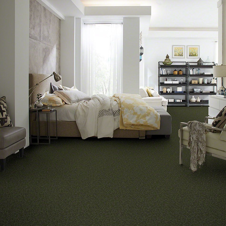 Shaw Floors SFA Enjoy The Moment I 15′ Aloe Vera 00303_0C138