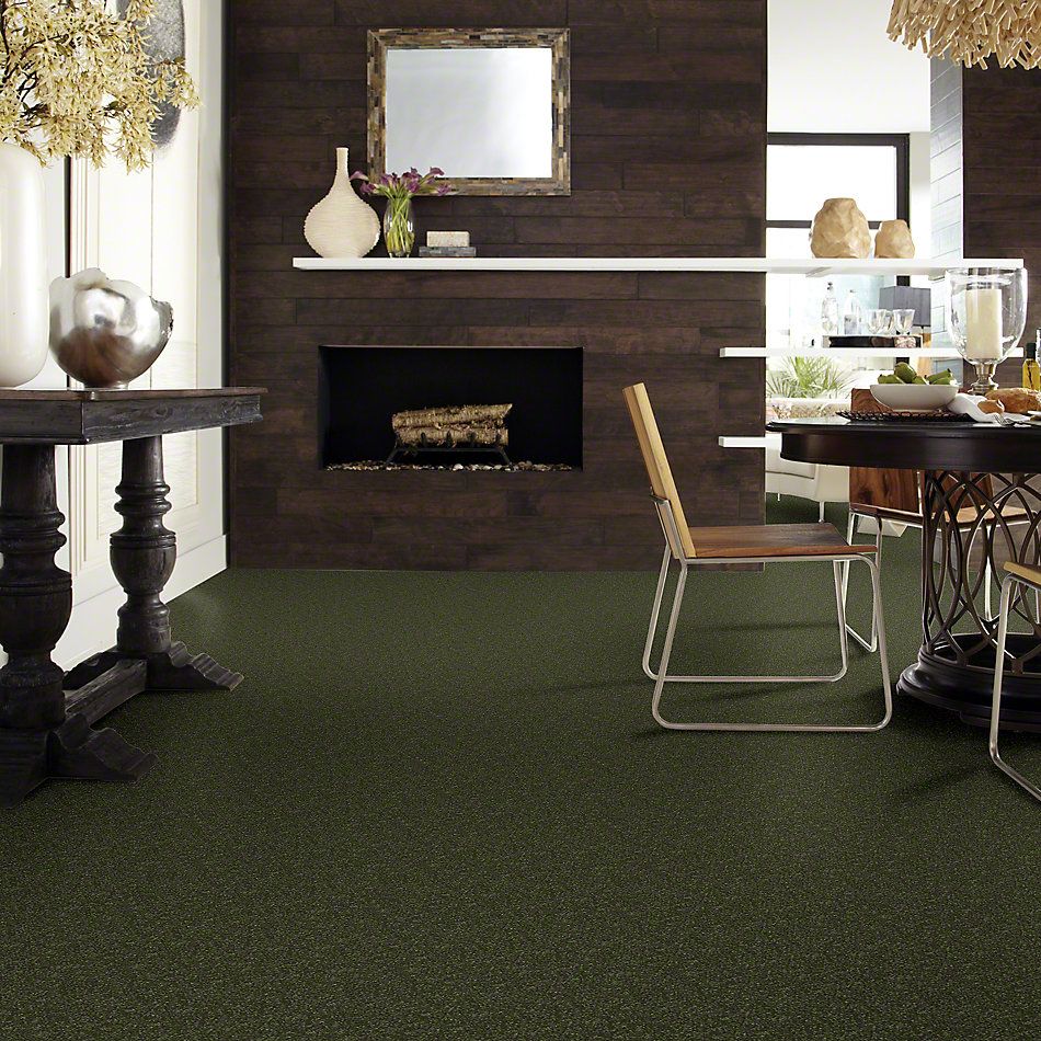 Shaw Floors SFA Enjoy The Moment II 15′ Aloe Vera 00303_0C139