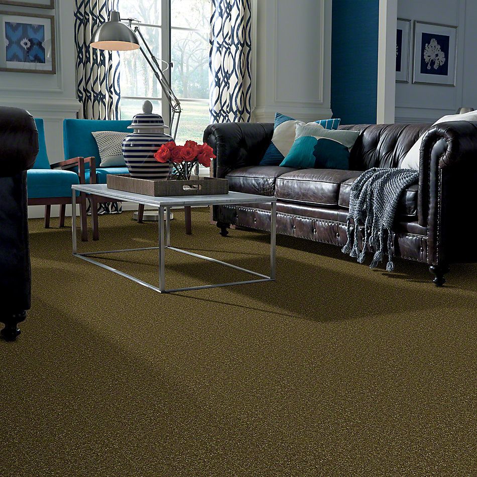 Shaw Floors Town Creek II Green Apple 52S30_00303