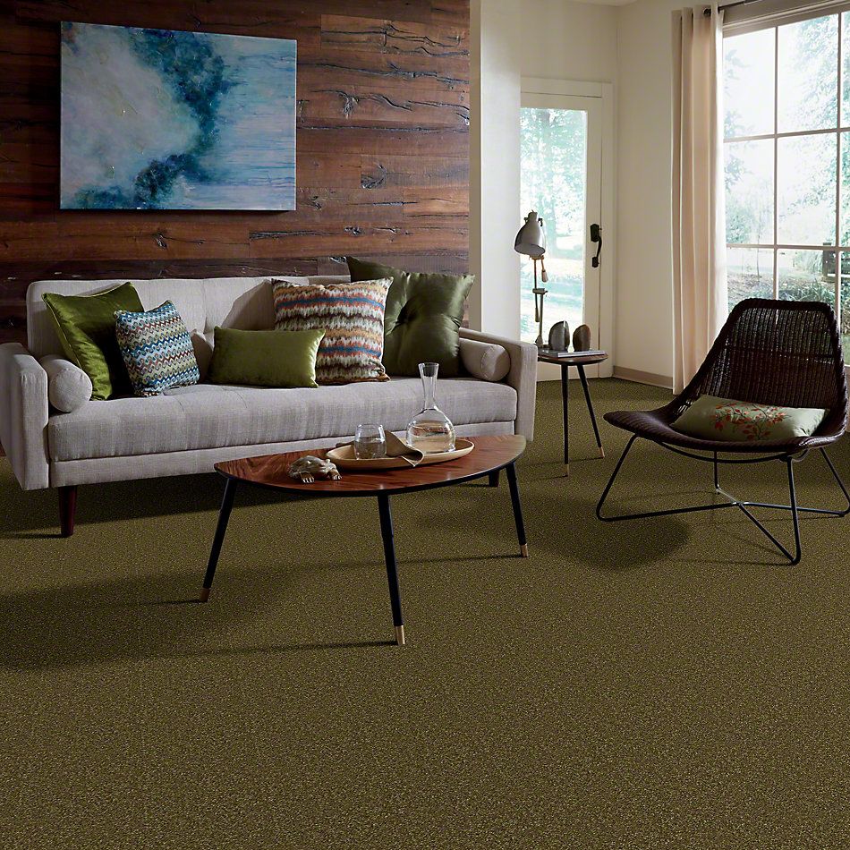 Shaw Floors Town Creek II Green Apple 52S30_00303