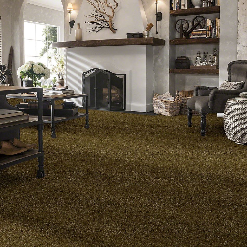 Shaw Floors Town Creek I 15′ Green Apple 52V12_00303