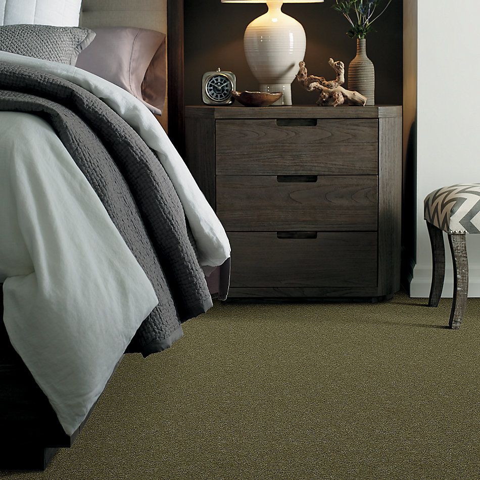 Shaw Floors Caress By Shaw Cashmere Iv Edford Meadow 00303_CCS04