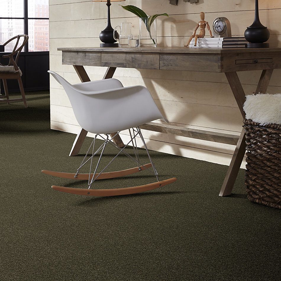 Shaw Floors Nfa/Apg Blended Trio Edford Meadow 00303_NA133
