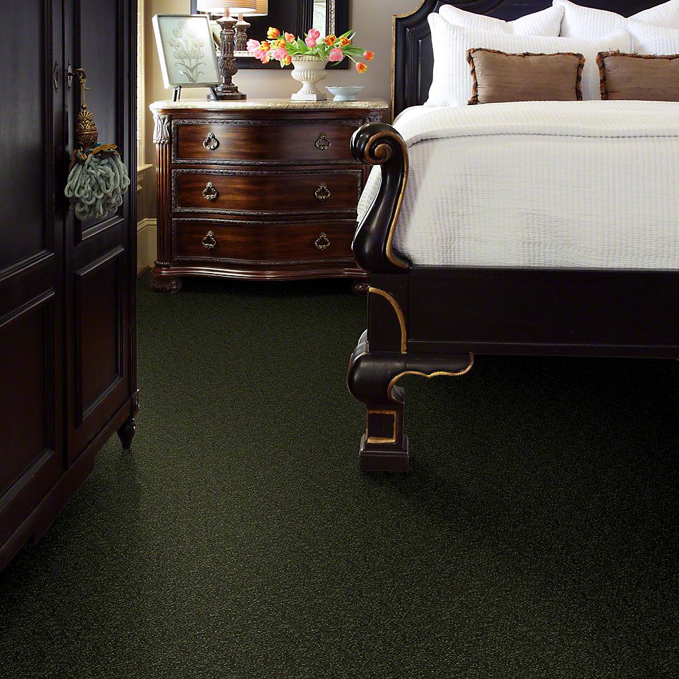 Shaw Floors Roll Special Xv425 Nature Walk 00303_XV425