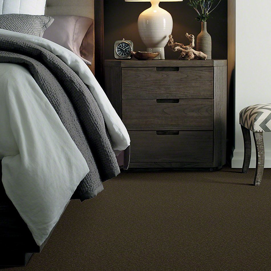 Shaw Floors Everyday Comfort (s) Amazon 00304_52P07