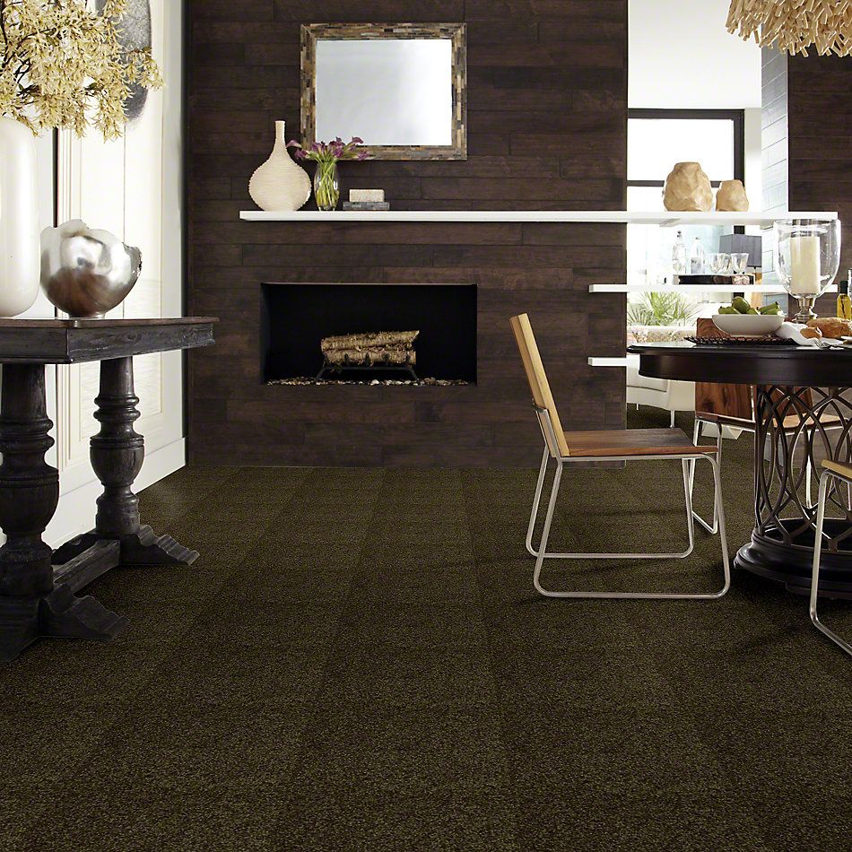 Shaw Floors Town Creek I 15′ Pine 52V12_00304