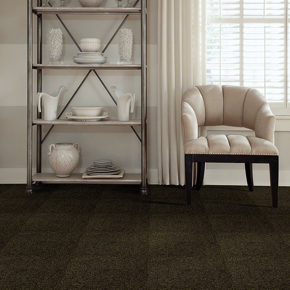 Shaw Floors Town Creek I 15′ Pine 52V12_00304