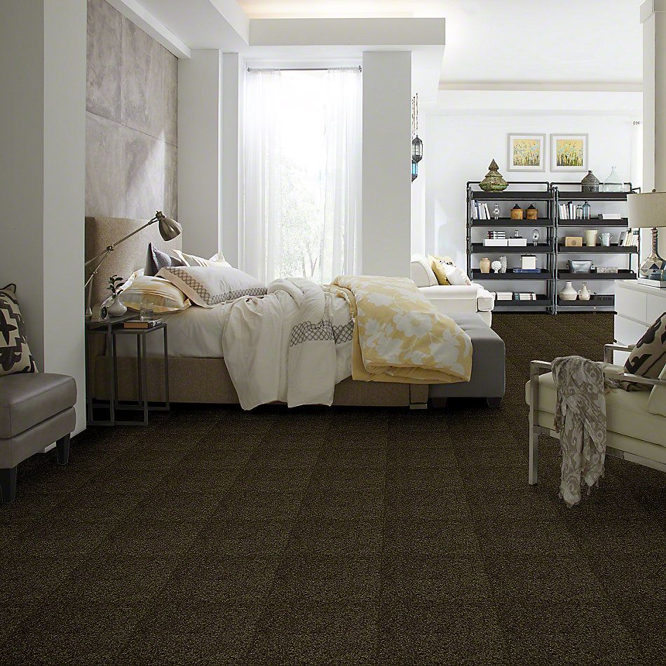 Shaw Floors Town Creek I 15′ Pine 52V12_00304