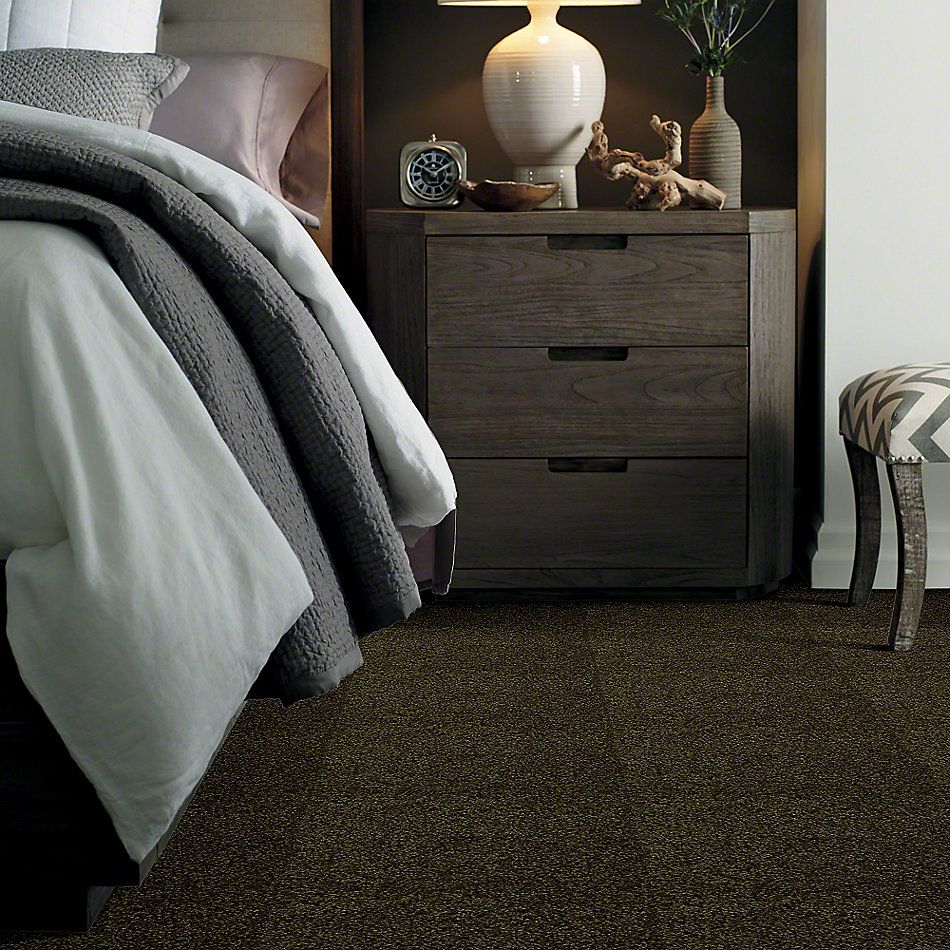 Shaw Floors Town Creek I 15′ Pine 52V12_00304