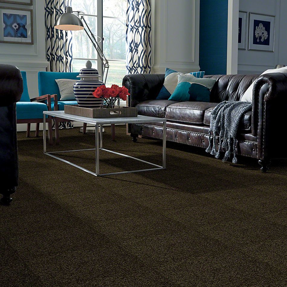 Shaw Floors Town Creek I 15′ Pine 52V12_00304