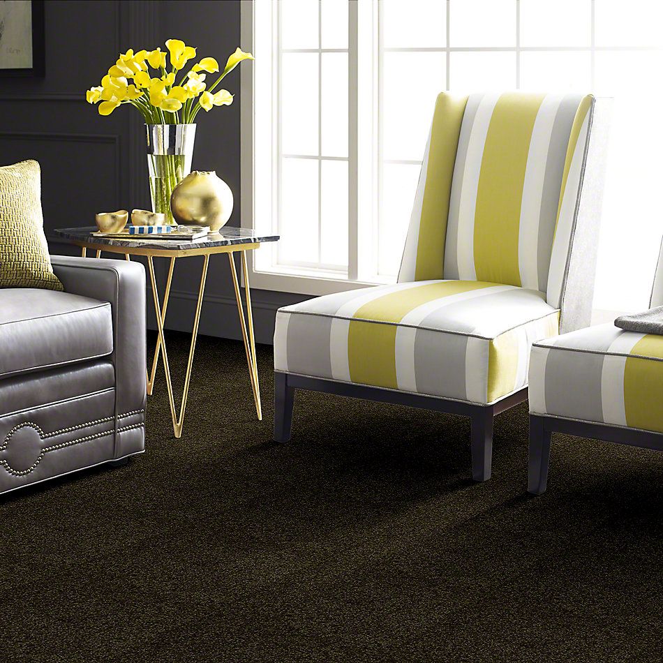 Shaw Floors Town Creek I 15′ Pine 52V12_00304