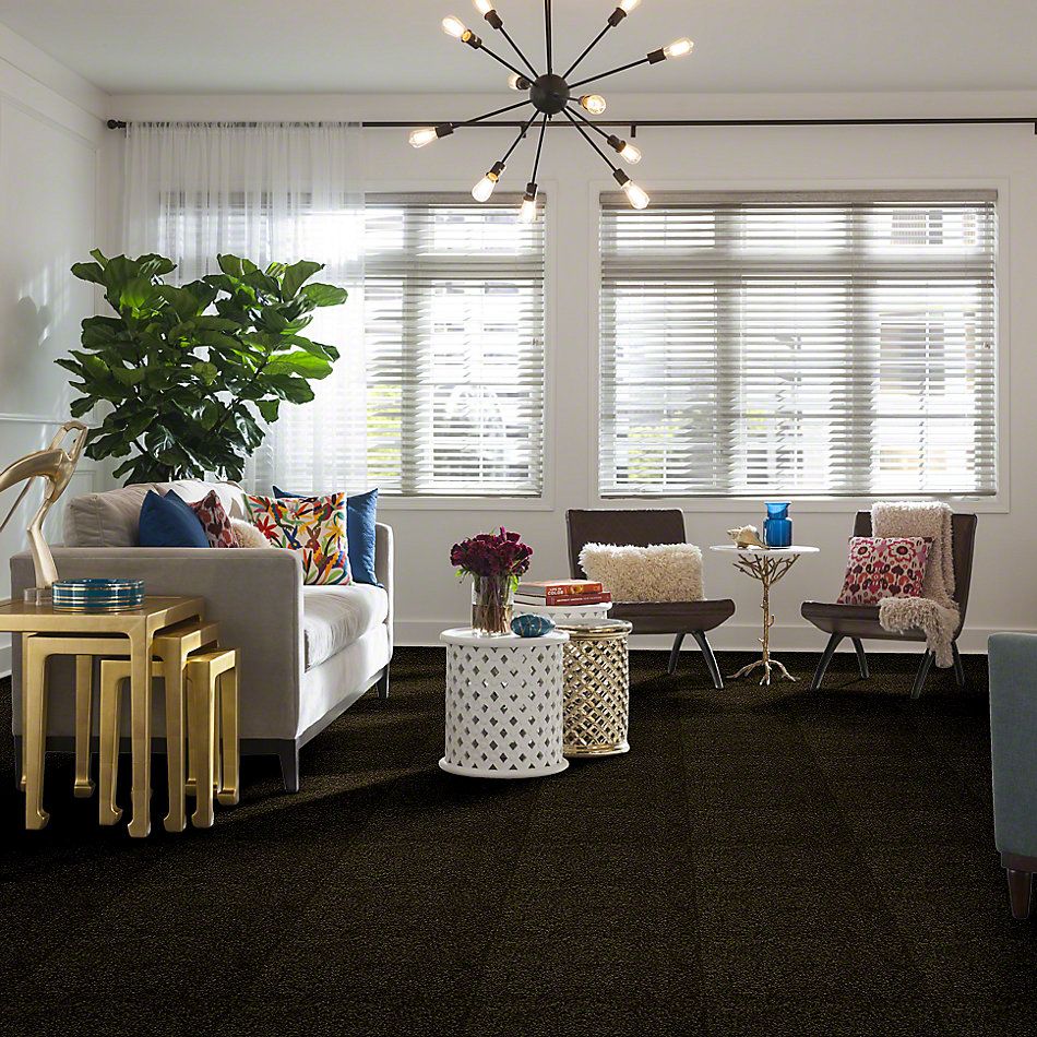 Shaw Floors Town Creek I 15′ Pine 52V12_00304