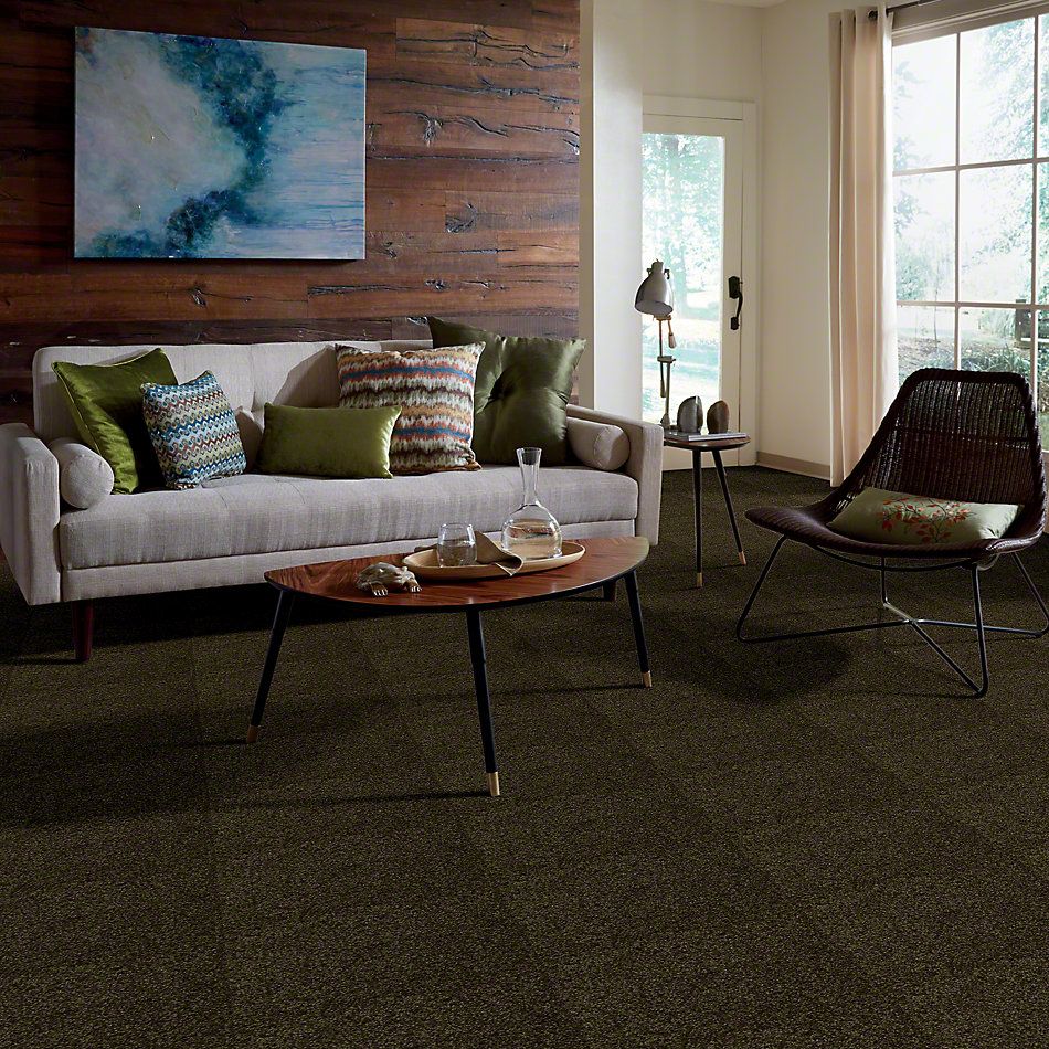Shaw Floors Town Creek I 15′ Pine 52V12_00304