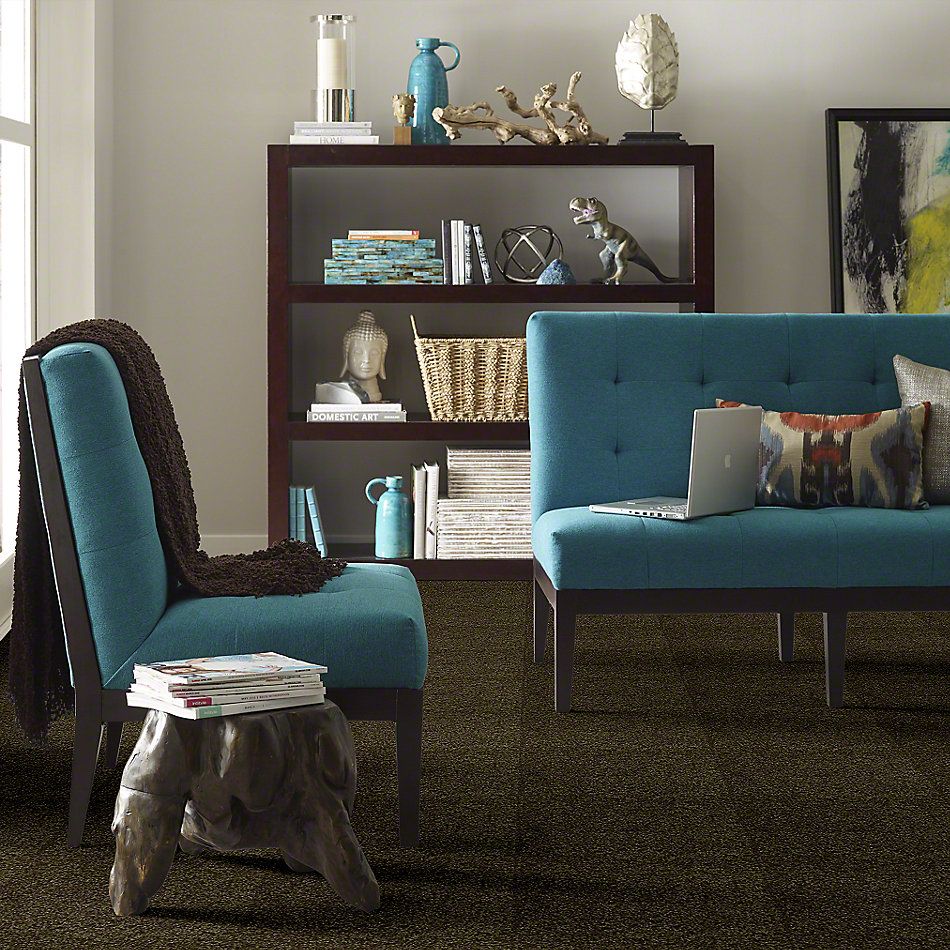 Shaw Floors Town Creek I 15′ Pine 52V12_00304