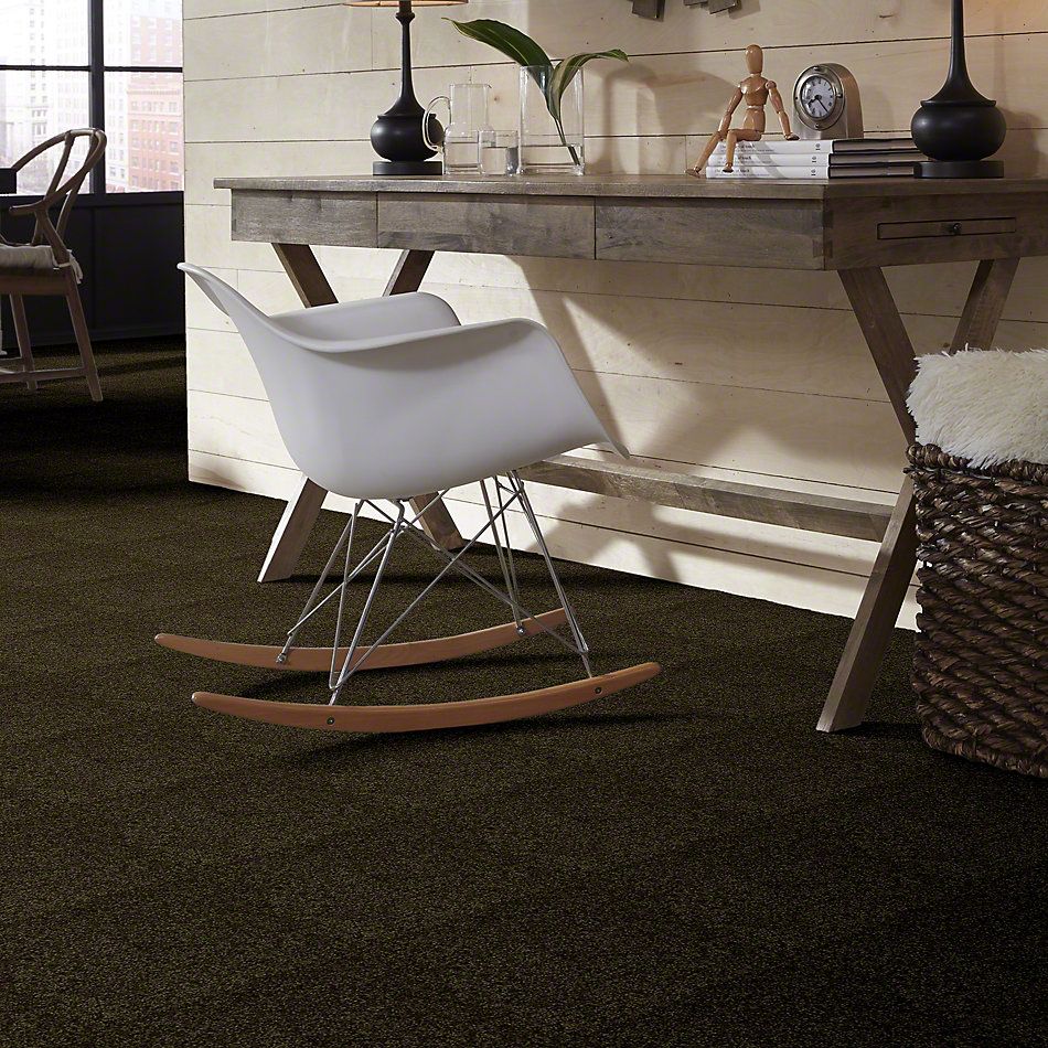 Shaw Floors Town Creek I 15′ Pine 52V12_00304