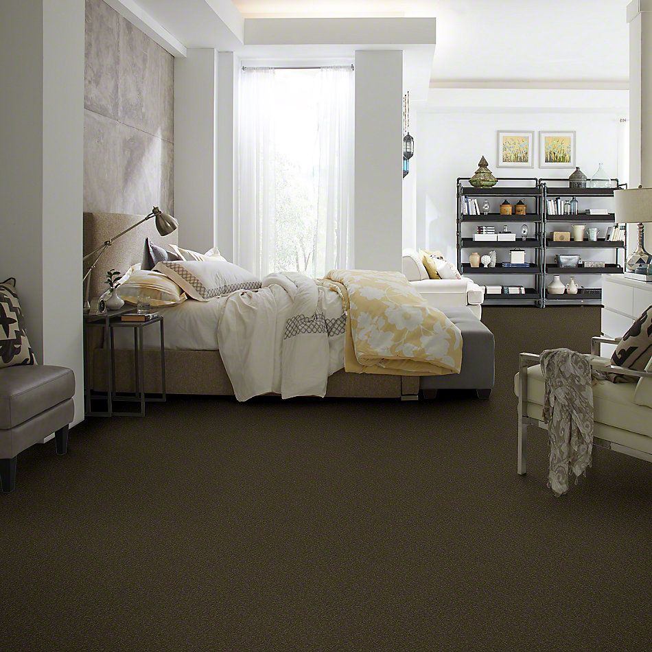 Shaw Floors Sandy Hollow I 12′ Tropic Vine 00304_Q4273