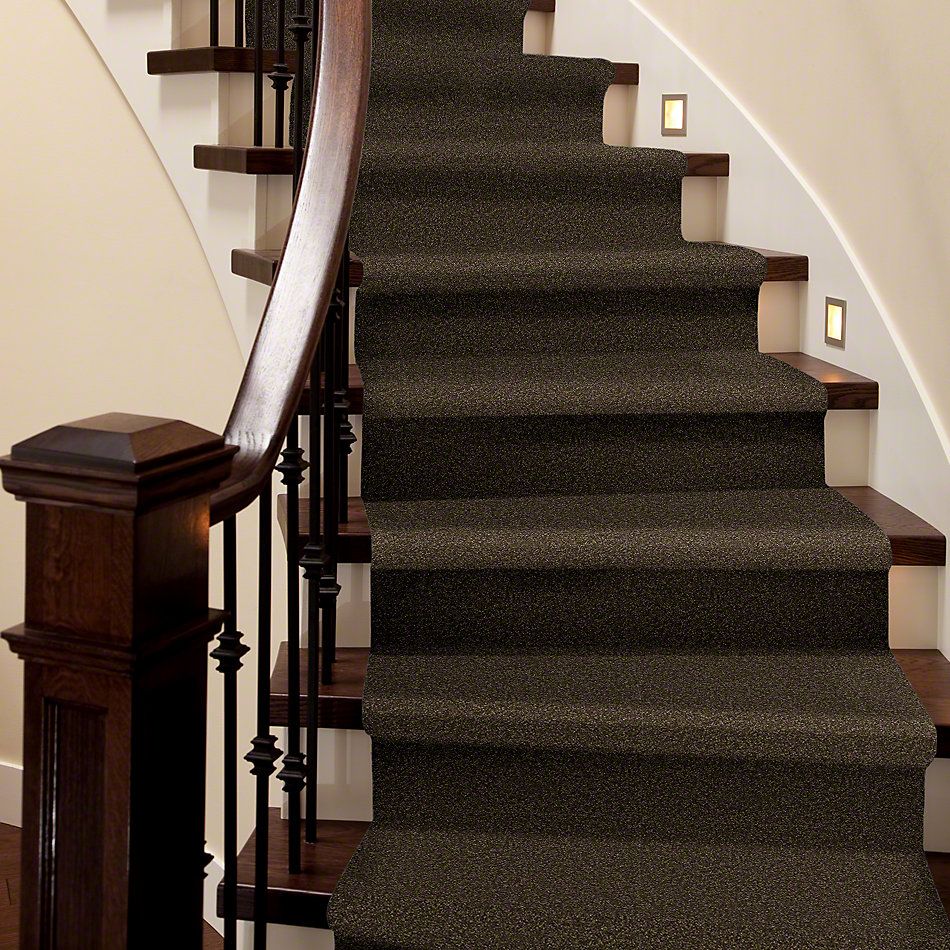 Shaw Floors Sandy Hollow II 15′ Tropic Vine 00304_Q4276