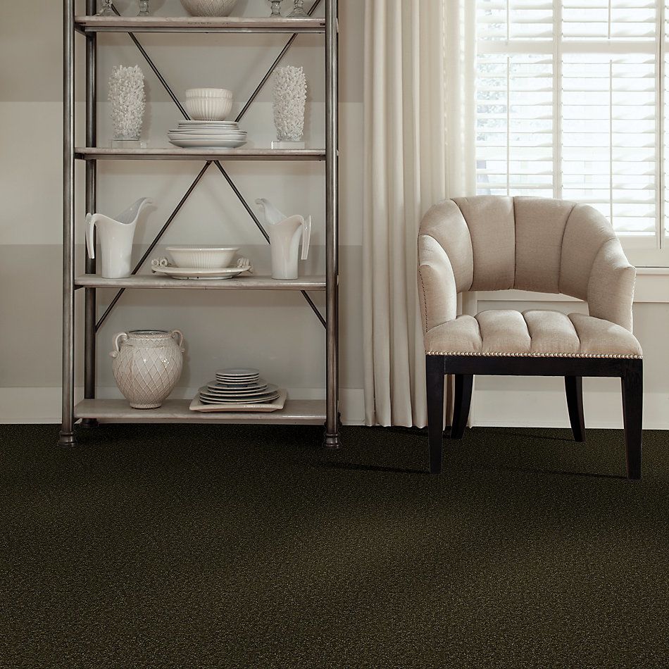 Shaw Floors Value Collections Passageway I 15 Net Pine 00304_E9620
