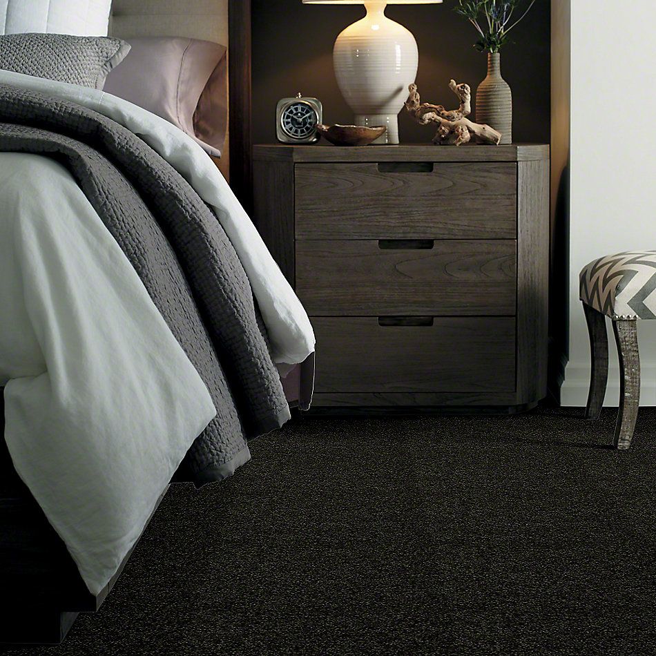 Shaw Floors Town Creek I 15′ Hunters Ridge 52V12_00305