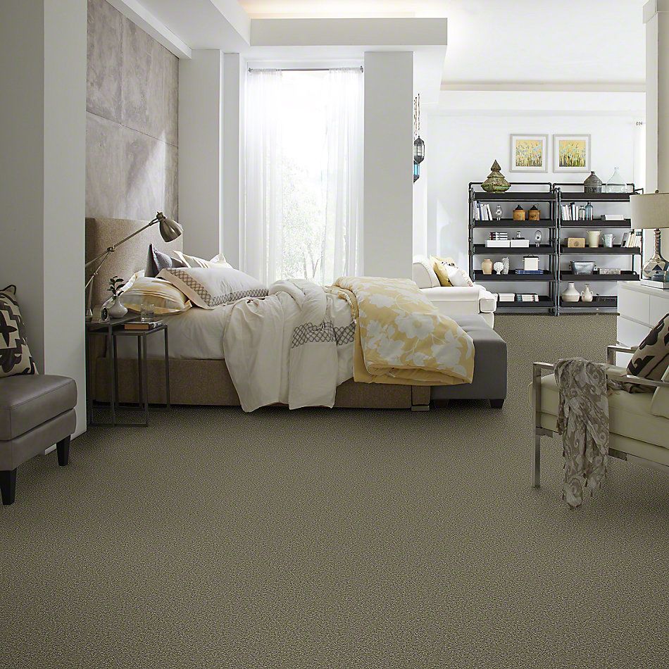 Shaw Floors SFA Shingle Creek III 12′ Alpine Fern 00305_EA516