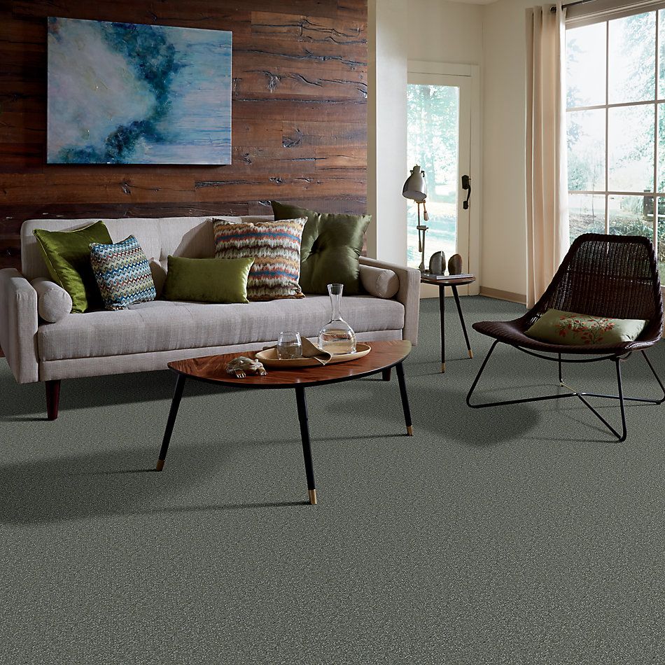 Shaw Floors Value Collections Passageway I 15 Net Ocean View 00306_E9620