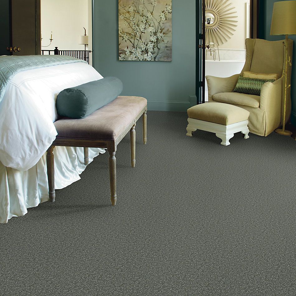 Shaw Floors Value Collections Passageway II 15 Net Ocean View 00306_E9621