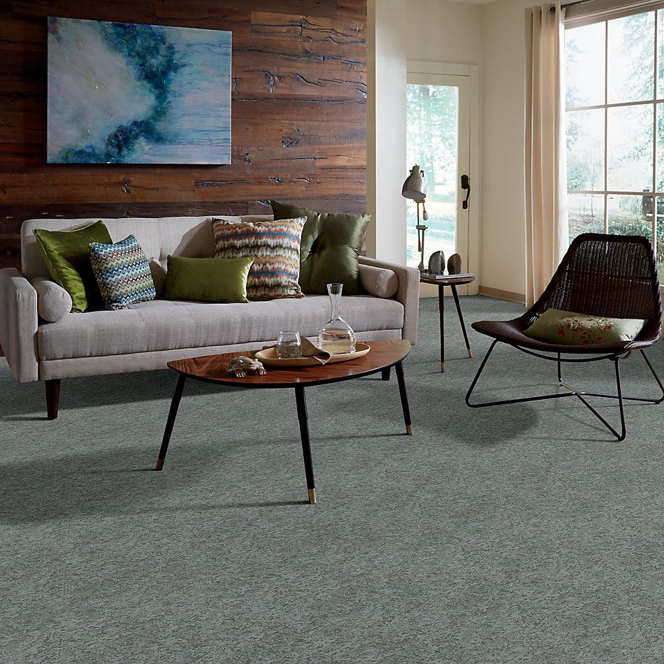 Shaw Floors Value Collections State Of Mind Net Waters Edge 00307_5E373