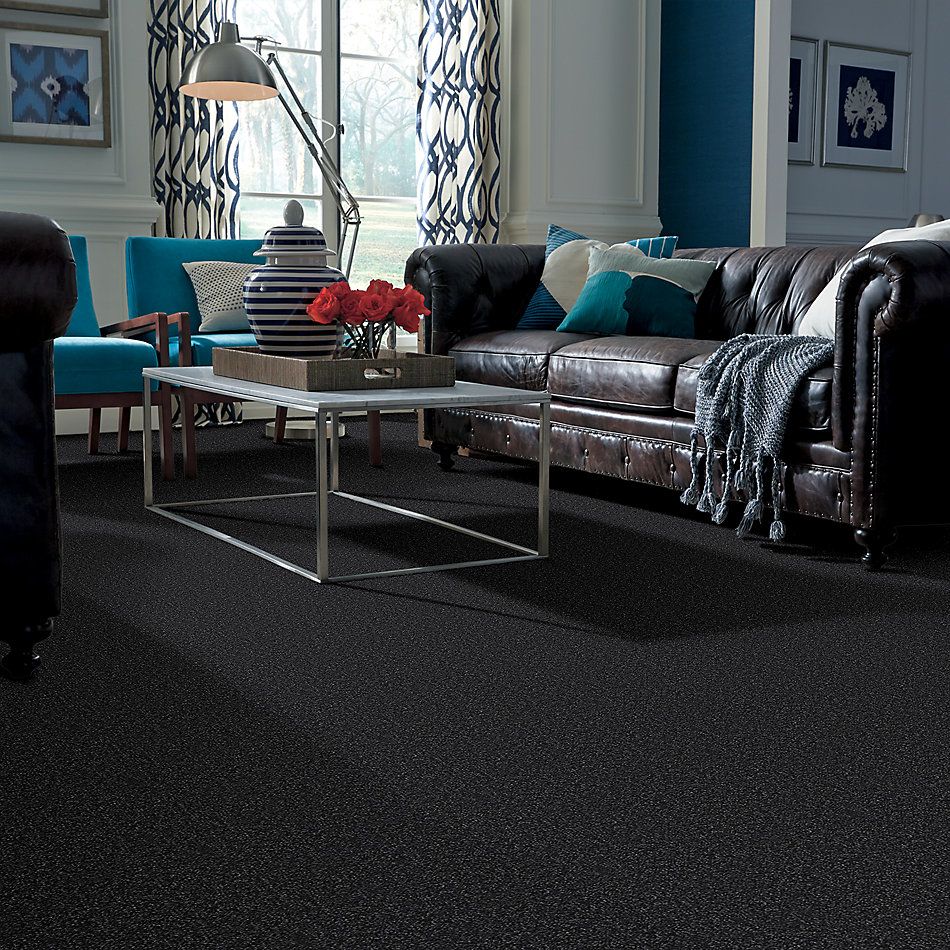 Shaw Floors Value Collections Passageway I 15 Net Blue Spruce 00307_E9620